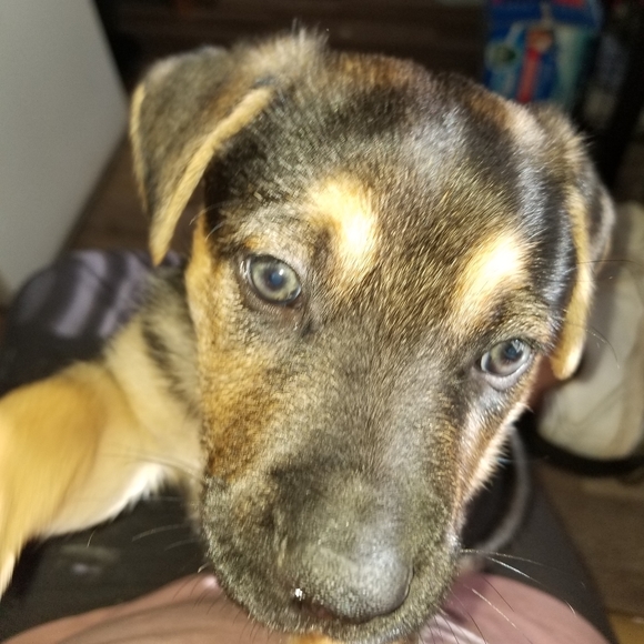 Meet your Posher, Tricia - Picture 6 of 7